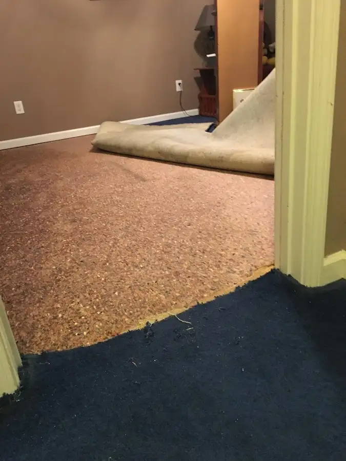 Carpet pad removal revealing water damage during Drying & Dehumidification in Dyer