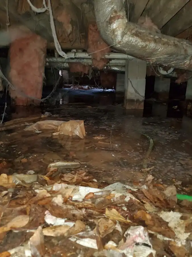 Crawl space flood assessment for Commercial Water Damage Restoration in Dyer