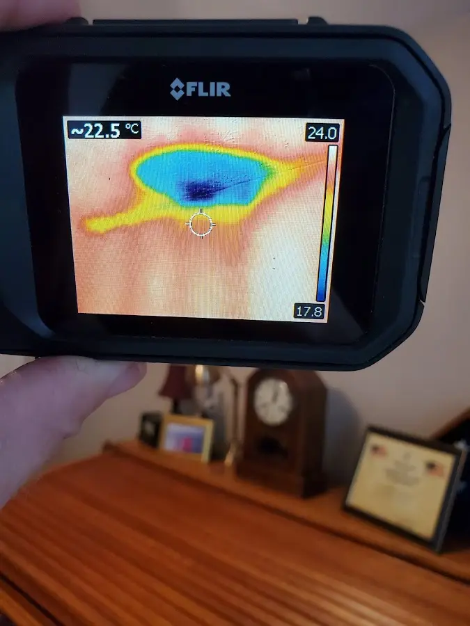 Thermal imaging inspection for water damage in Dyer