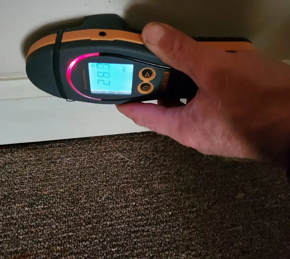 Moisture detection at baseboard during Mold Inspection & Testing in Dyer